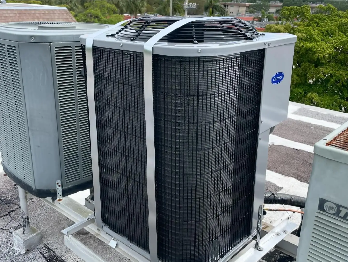 Carrier condenser strapped down on a raised rooftop stand, with palm trees and neighboring buildings beyond