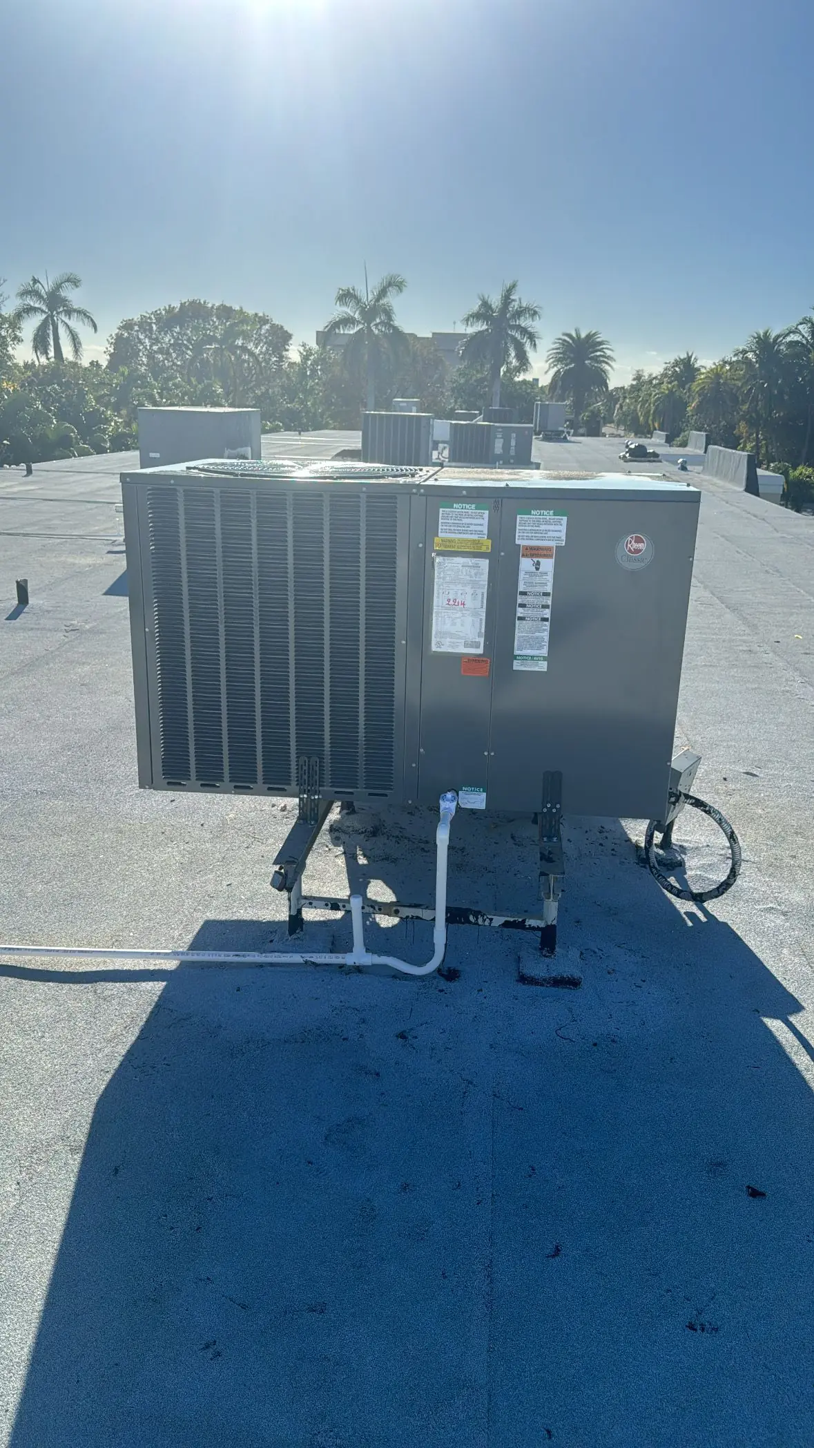 Rooftop packaged AC unit on a flat roof with palm trees in the distance